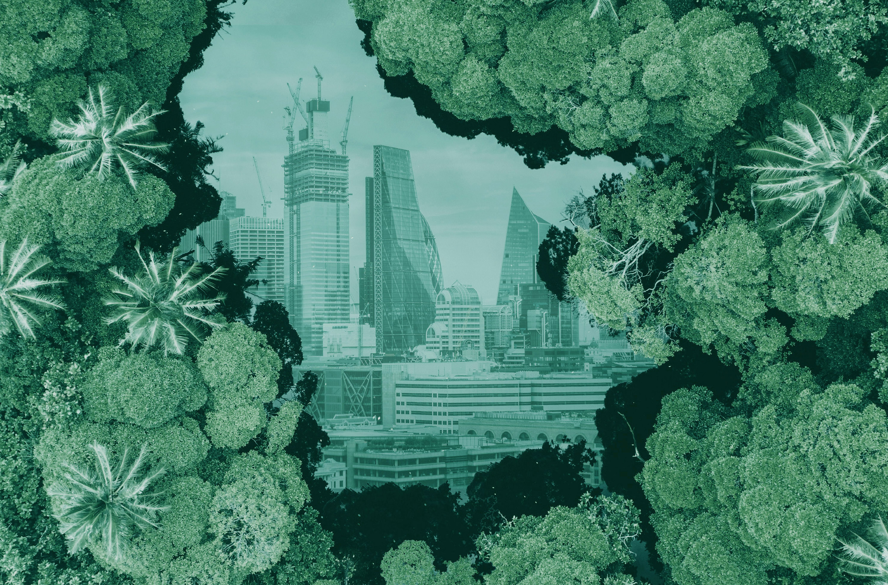 Climate emergency - can we learn from the COVID-19 response?