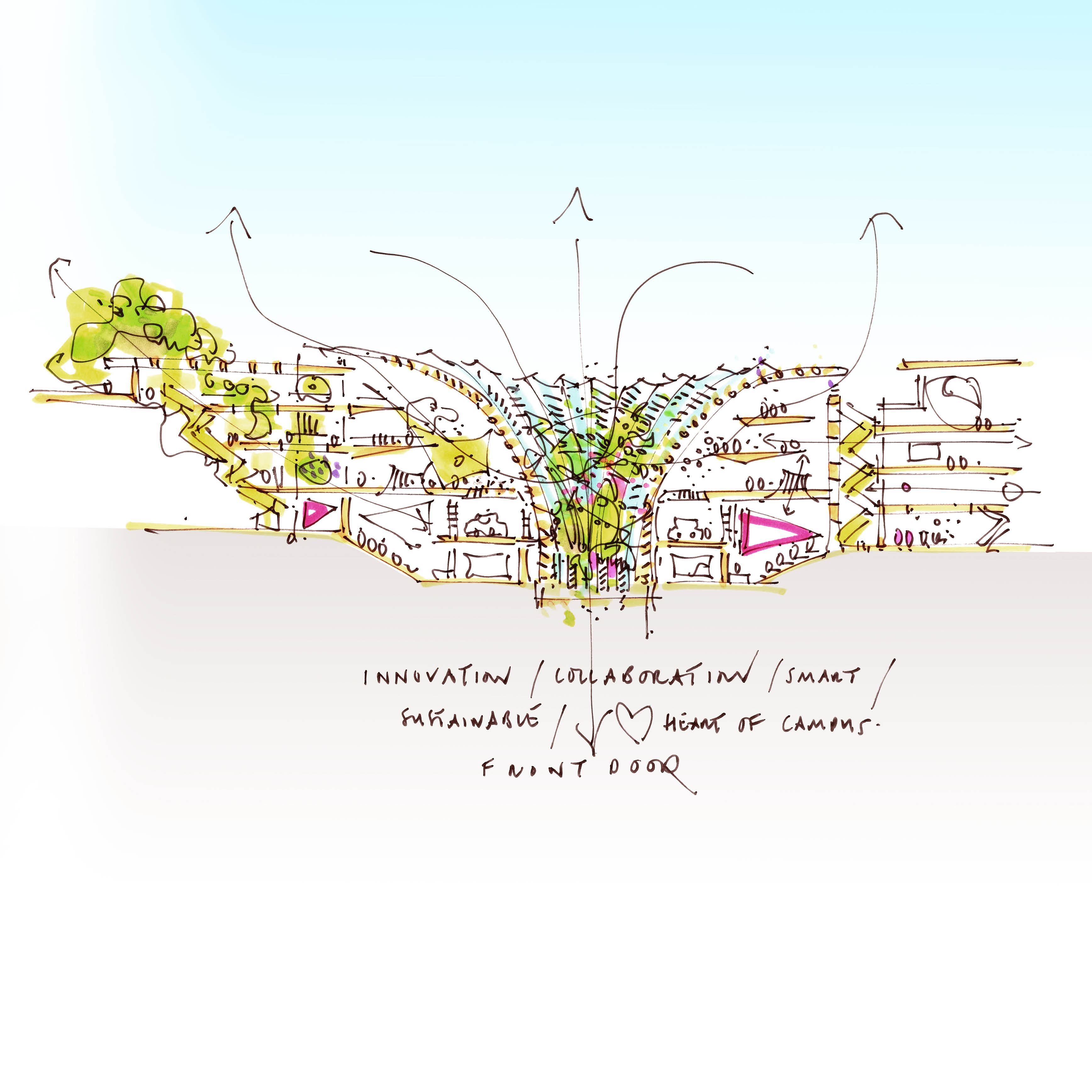 Virtual Roundtable: the socially sustainable campus