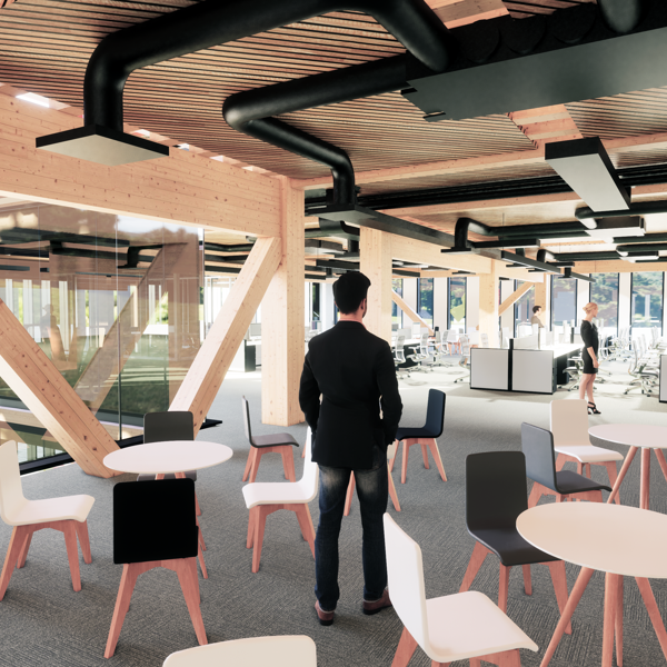 Watch now: timber offices of the future